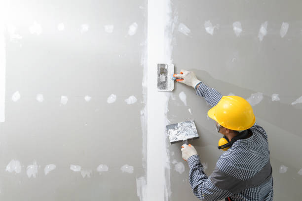 Best Crawl Space Mold Remediation  in Sellersburg, IN