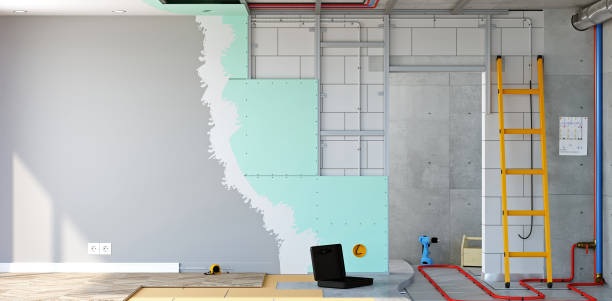 Best Mold Documentation for Insurance Claims  in Sellersburg, IN